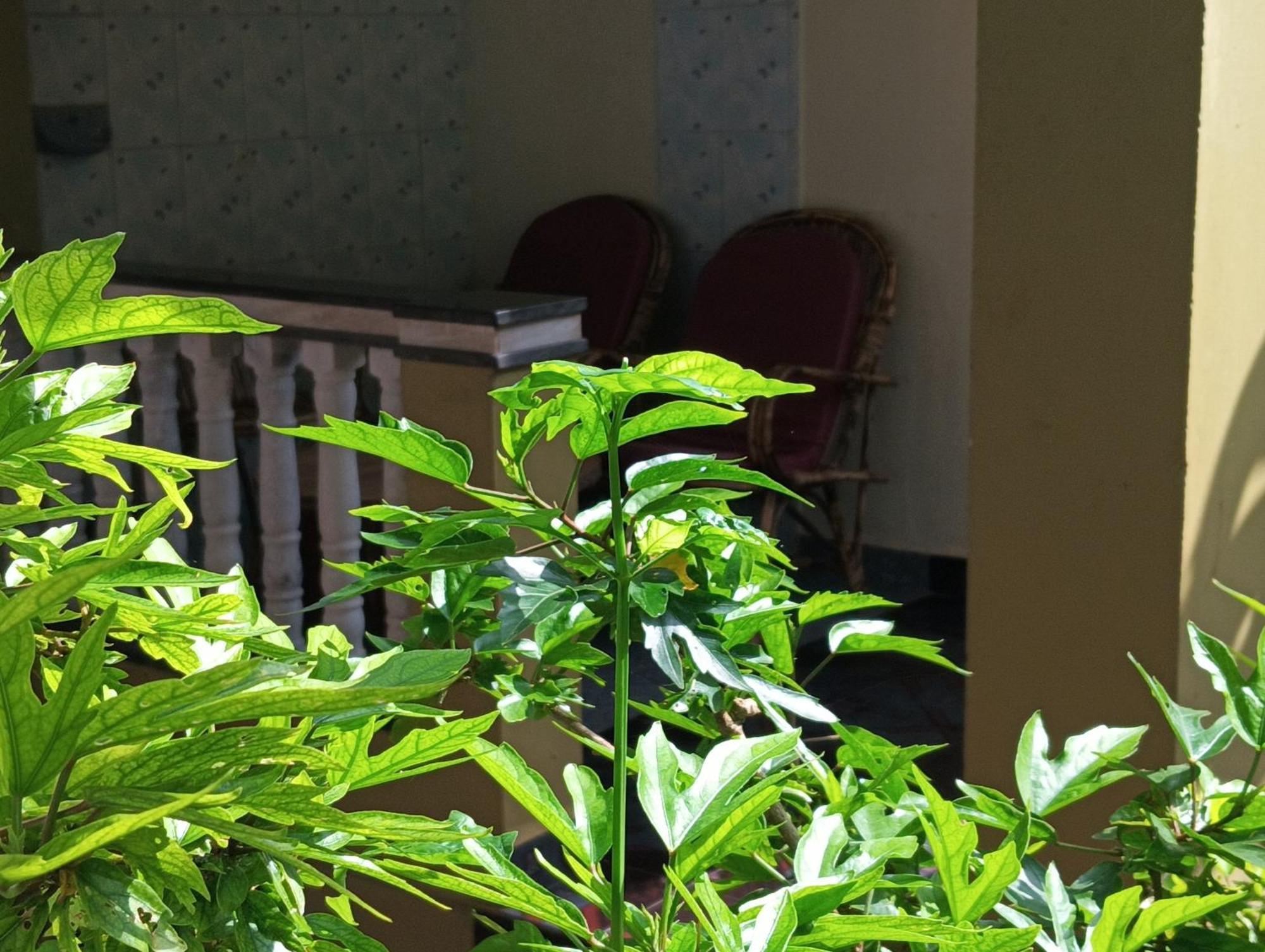 Monsoon Inn